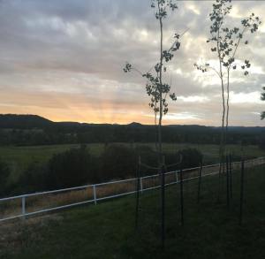 11216808_1614445762178318_4194438382002859007_n